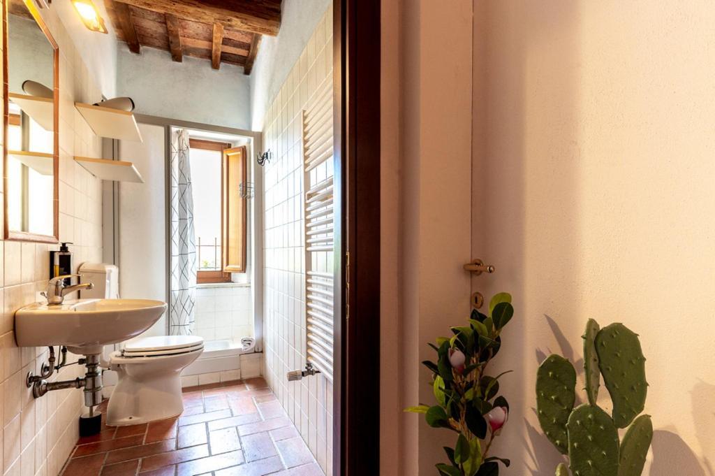 Massa Alta B&B E Appartamenti Massa Marittima Εξωτερικό φωτογραφία